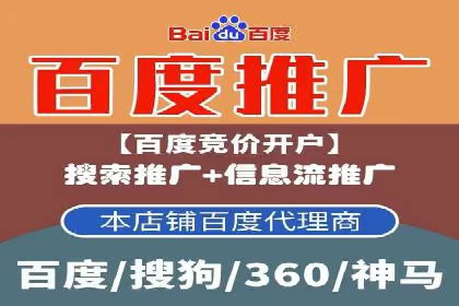SEM竞价代运营实战技巧与案例